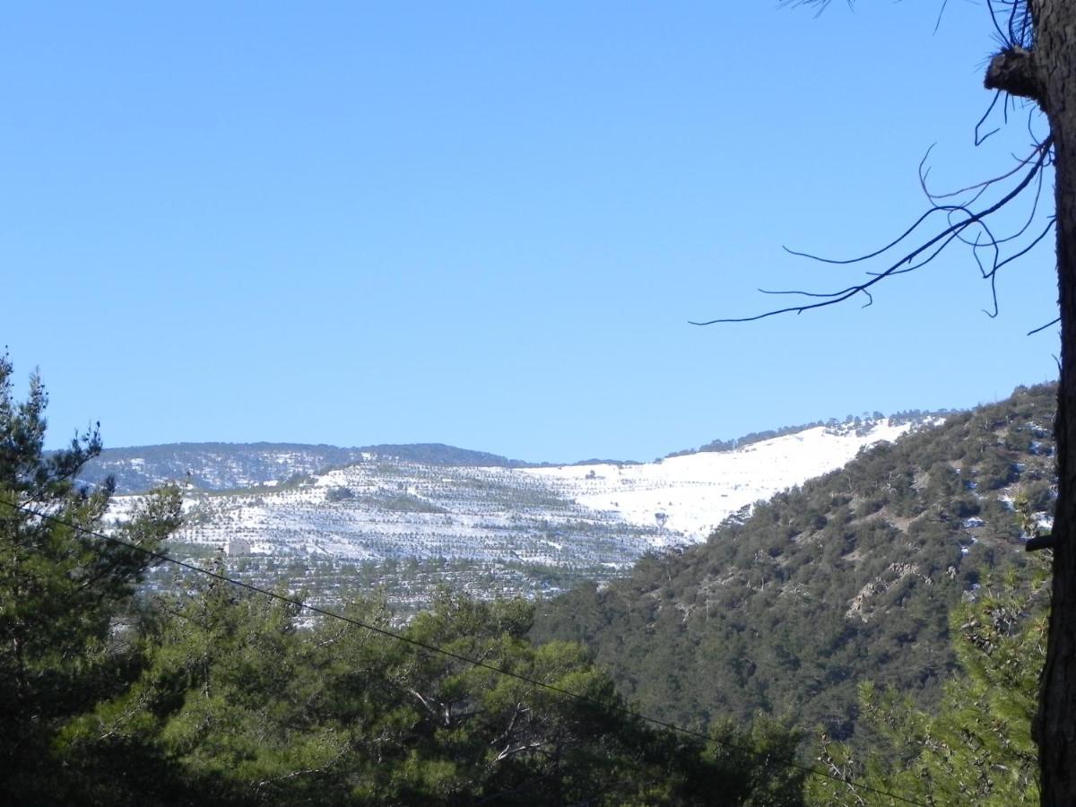 Kardama Hideaway Villa Kato Amiandos Dış mekan fotoğraf